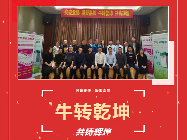 突破业绩、凝聚嘉彰、牛转乾坤、共铸绚烂